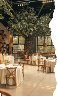 En el restaurante: cómo elegir y pedir comida